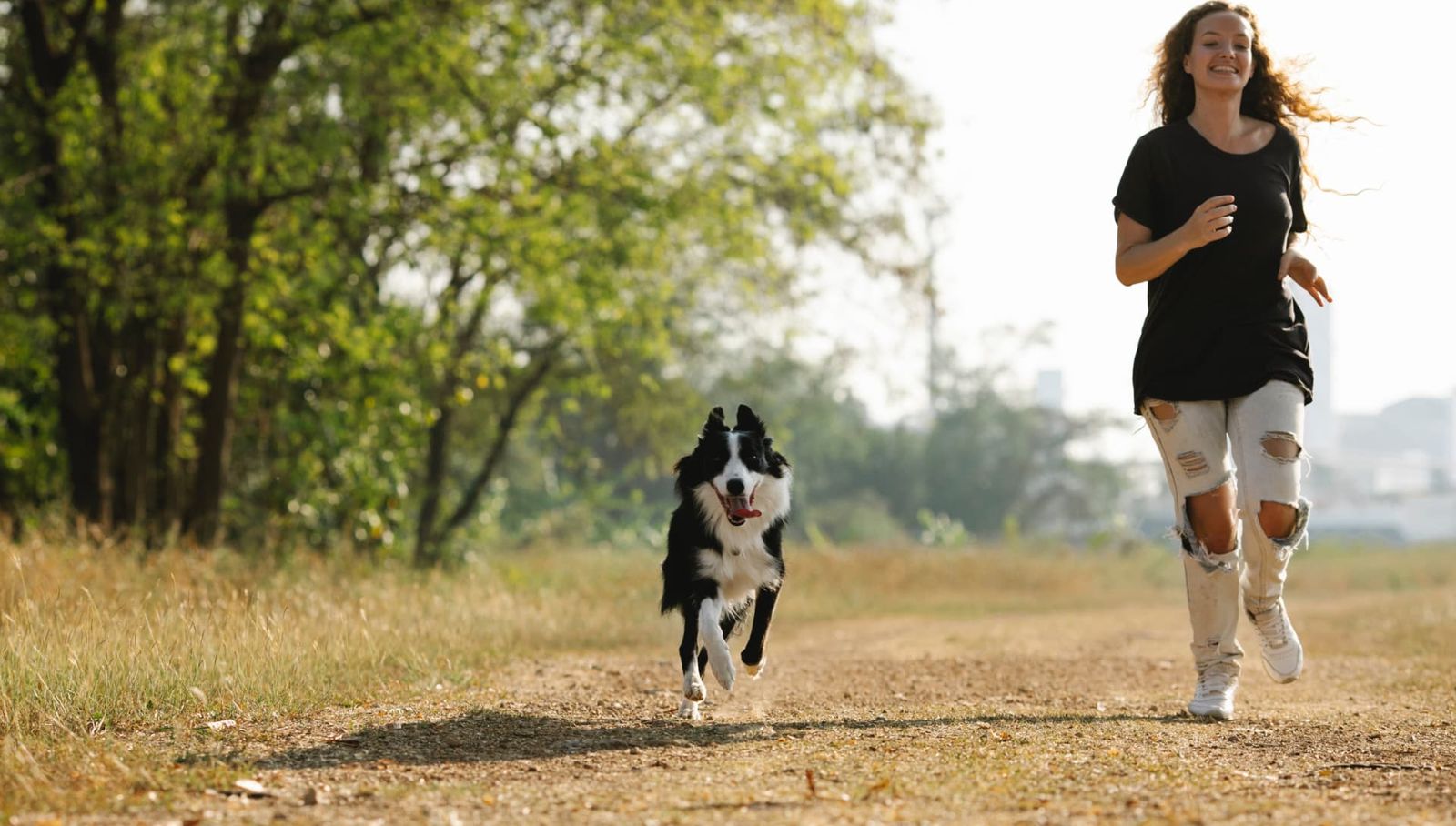 Do Dogs Sweat?