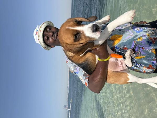 Paws & Waves photo 25