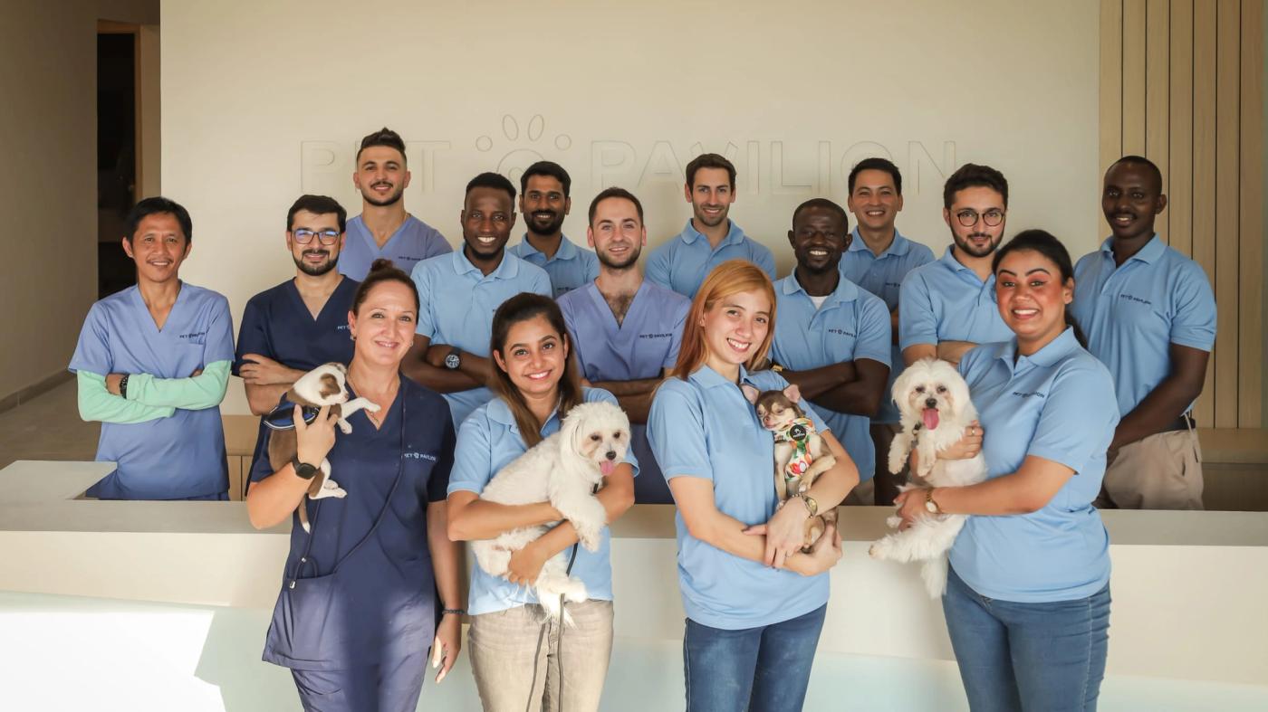 Pet Pavilion Has Simplified the Challenge of Owning an Untrained Dog With Its Highly Effective Dog Training Program