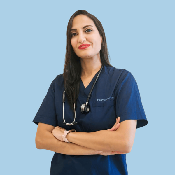 Dr. Heba Emad ElDin
