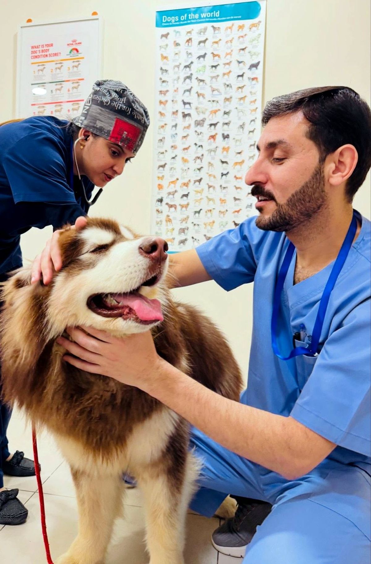 Veterinarian gently examining a happy dog during a wellness visit at Pet Pavilion