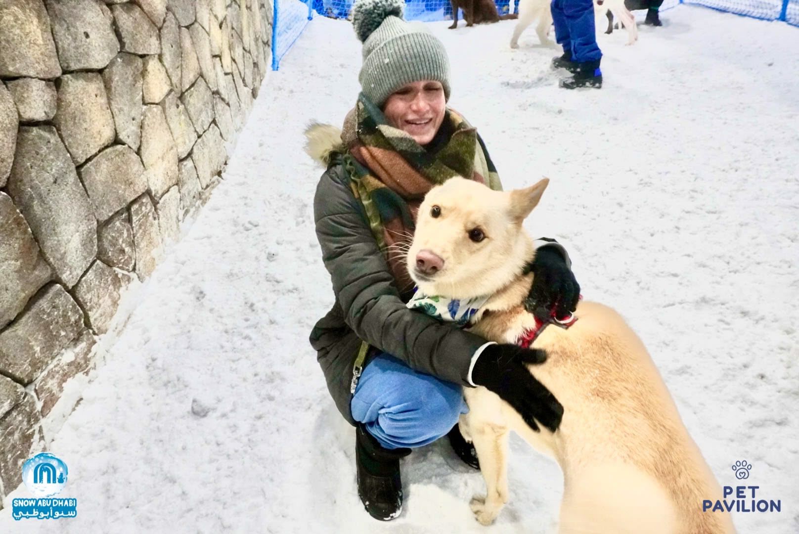 First-Ever Snow Experience for Dogs in Abu Dhabi! photo 13