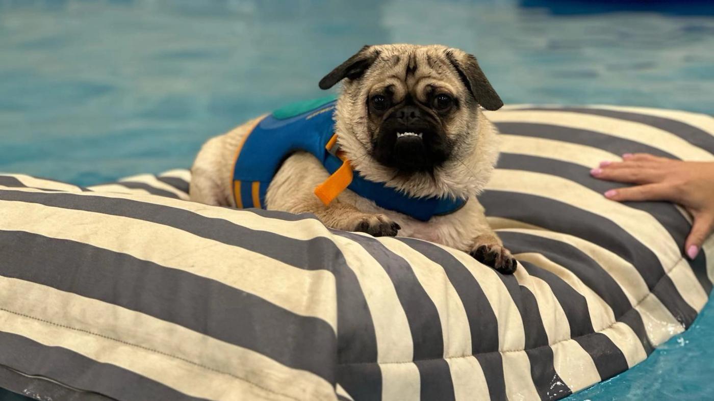 What are the benefits of hydrotherapy?
