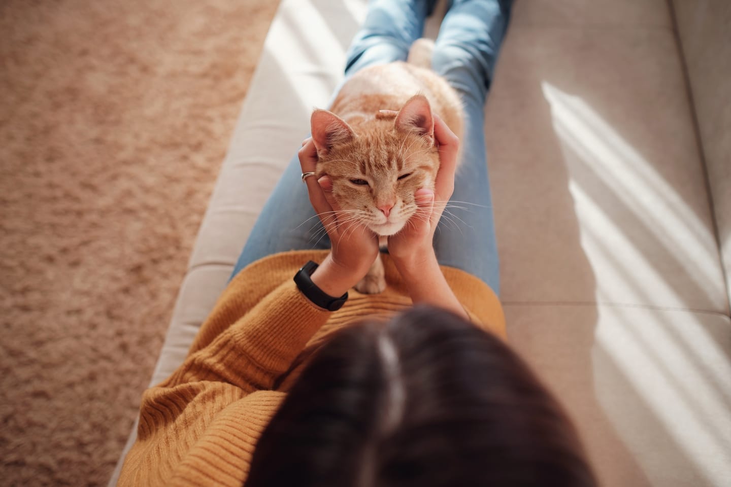The Secret Language of Cat-Human Communication