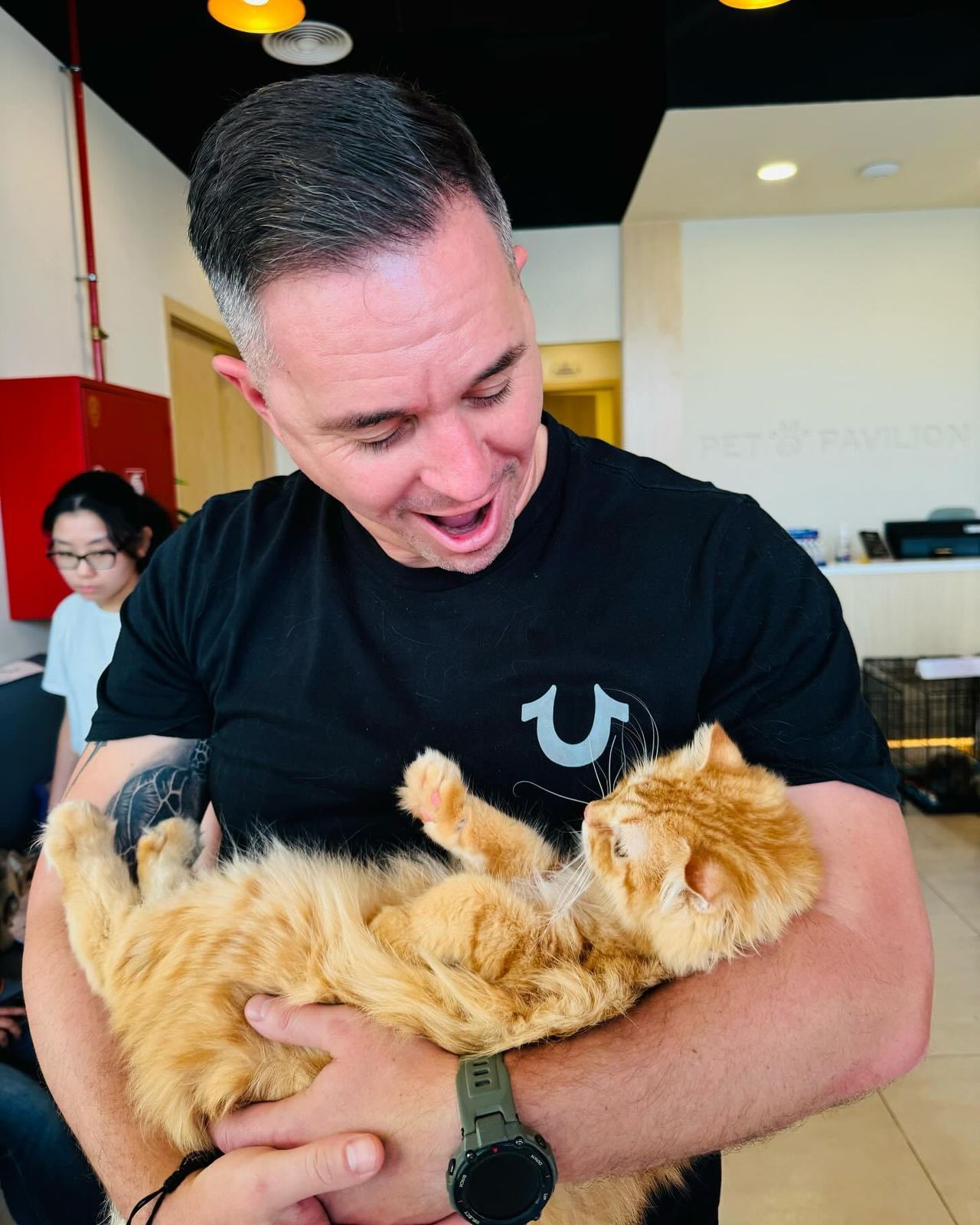 Cat Adoption Day in collaboration with Microchipped UAE photo 2