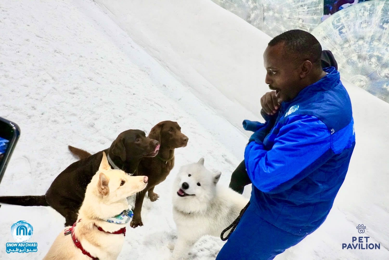 First-Ever Snow Experience for Dogs in Abu Dhabi! photo 5