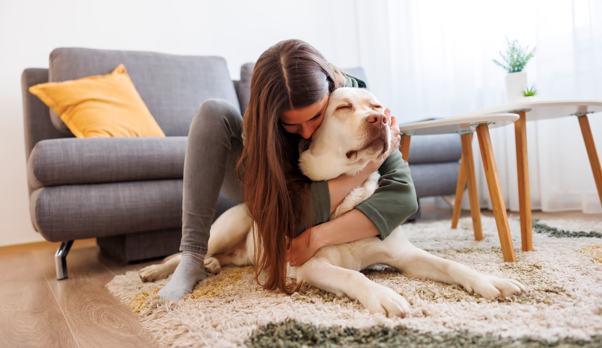 5 Common Mistakes Humans Make That Can Disrupt a Dog's Happiness: A Pet Pavilion Guide to Responsible Pet Parenting
