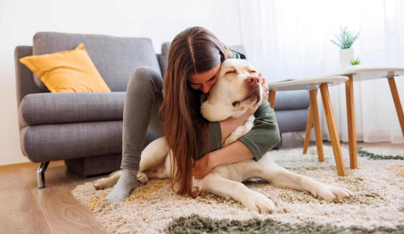 5 Common Mistakes Humans Make That Can Disrupt a Dog's Happiness: A Pet Pavilion Guide to Responsible Pet Parenting