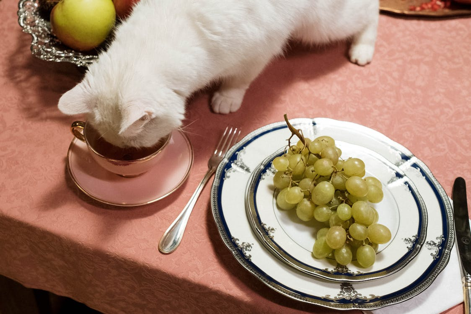 A Cat with a White Coat Drinking from a Teacup Beside a Dish Containing Grapes