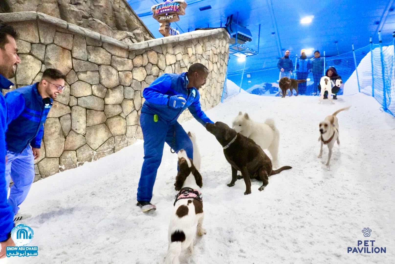 First-Ever Snow Experience for Dogs in Abu Dhabi! photo 10
