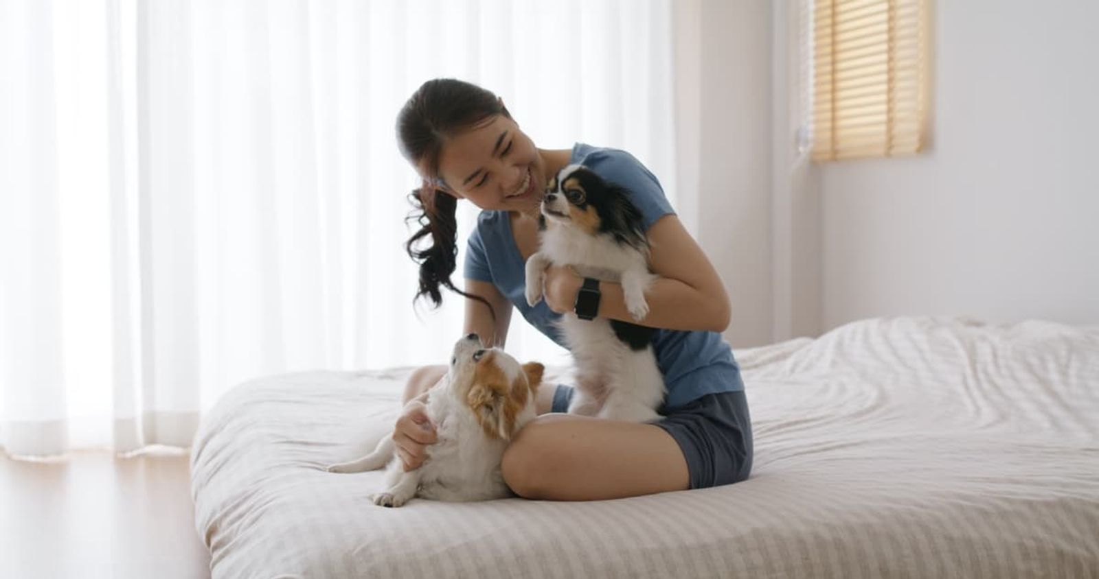 2024 Pet Care Goals: The Top 5 Health Tips Every Owner Needs
