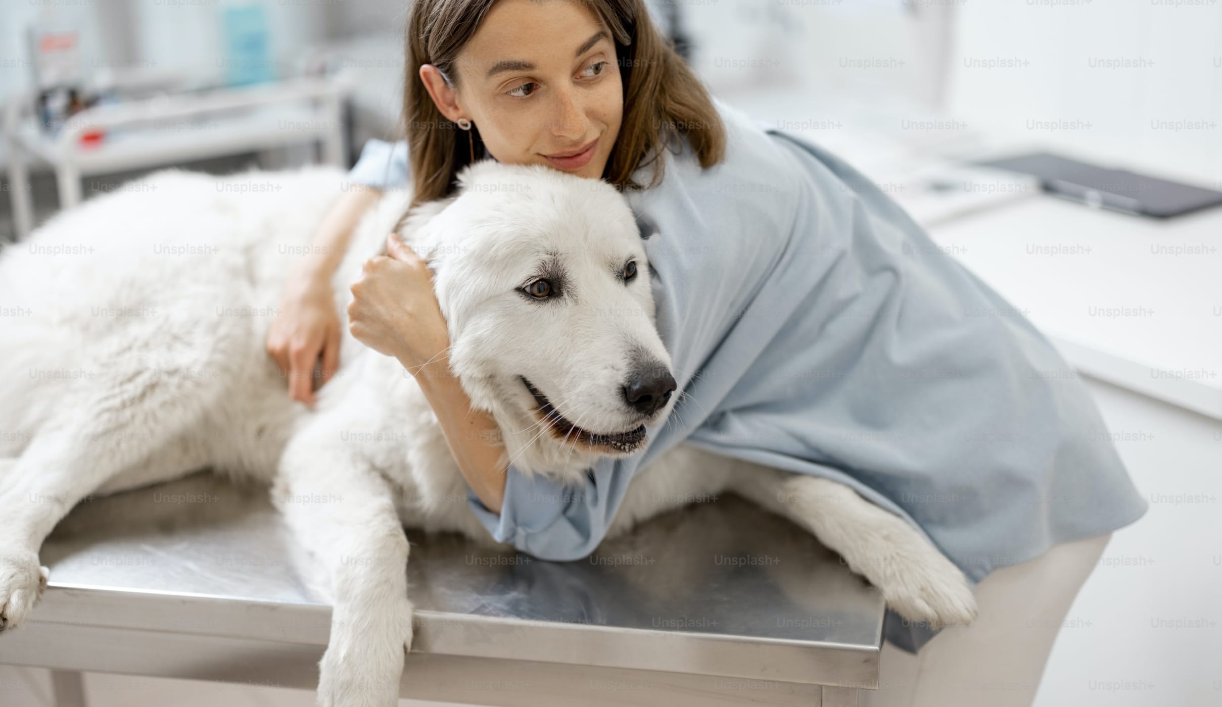 Top 5 Pet Health Consultations to Consider