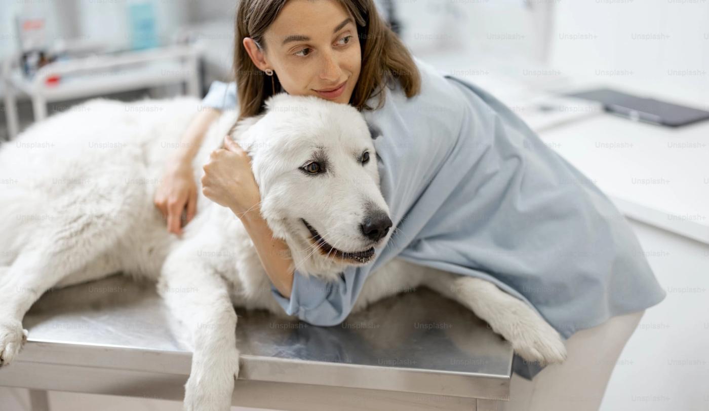 Top 5 Pet Health Consultations to Consider