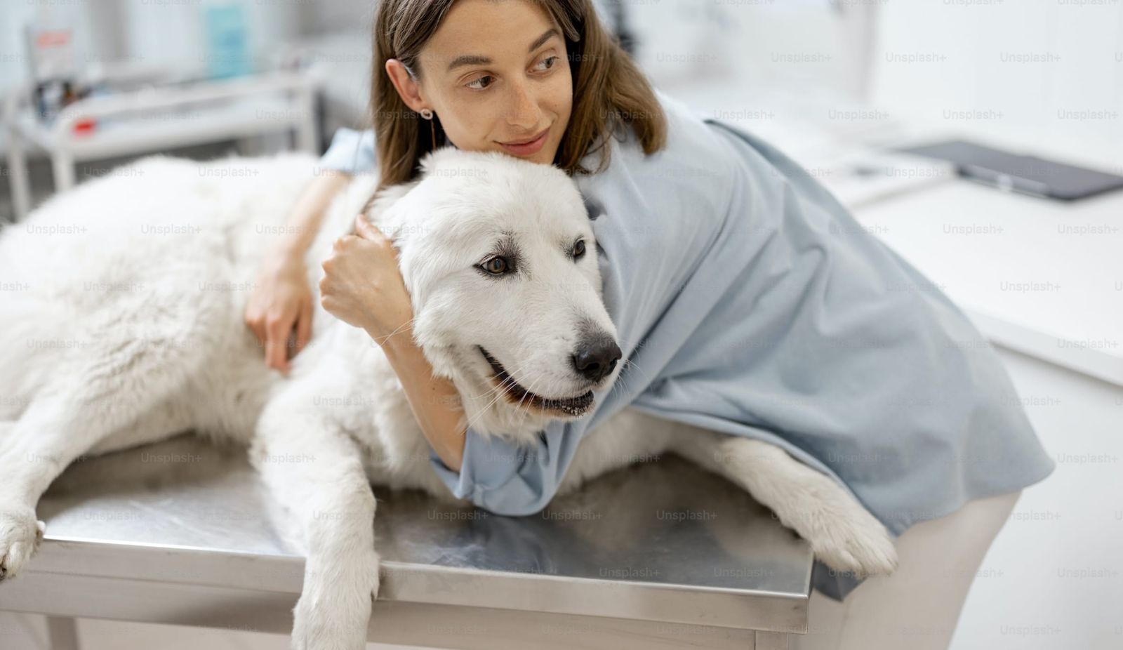 Top 5 Pet Health Consultations to Consider