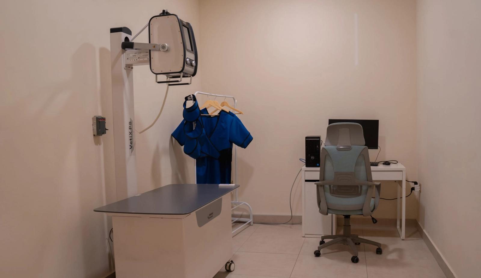 Understanding Pet Radiography: 5 Key Insights