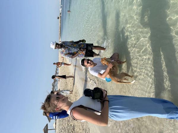 Paws & Waves photo 41