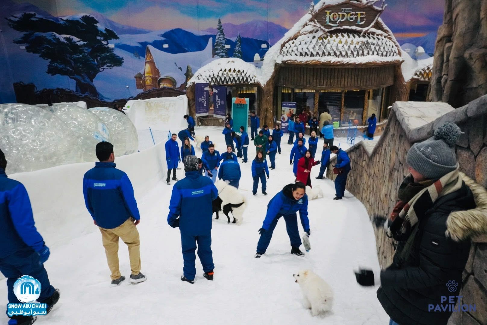 First-Ever Snow Experience for Dogs in Abu Dhabi! photo 15