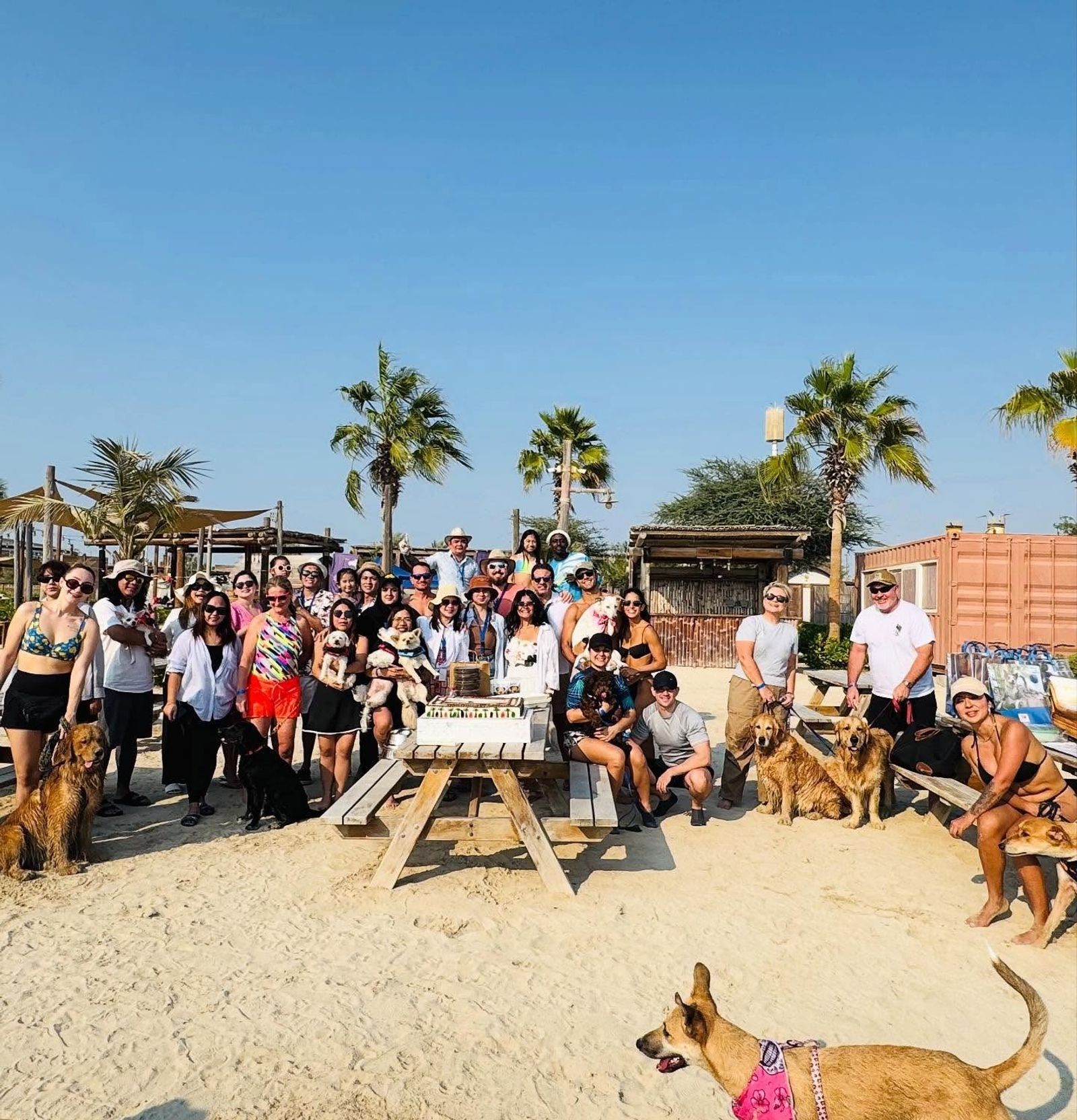 Welcome to the Pet Pavilion Community Hub! 🐾