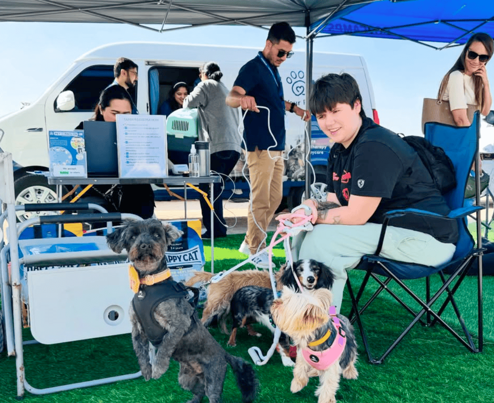 Community Love in Al Reef 2: A Paw-sitive Day Out! 🐾💙