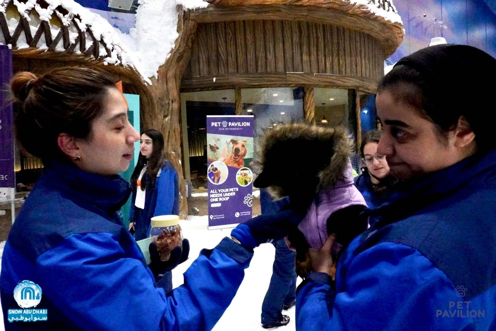 First-Ever Snow Experience for Dogs in Abu Dhabi! photo 19