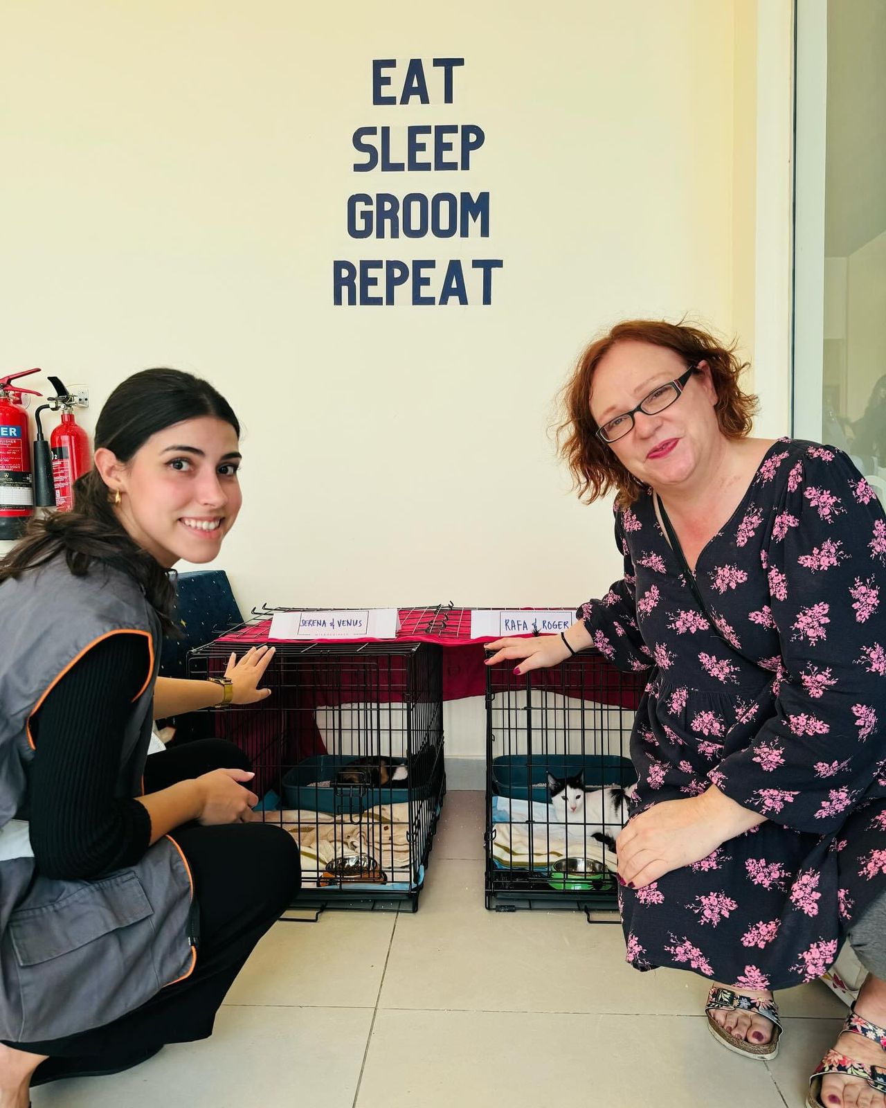 Cat Adoption Day in collaboration with Microchipped UAE photo 5