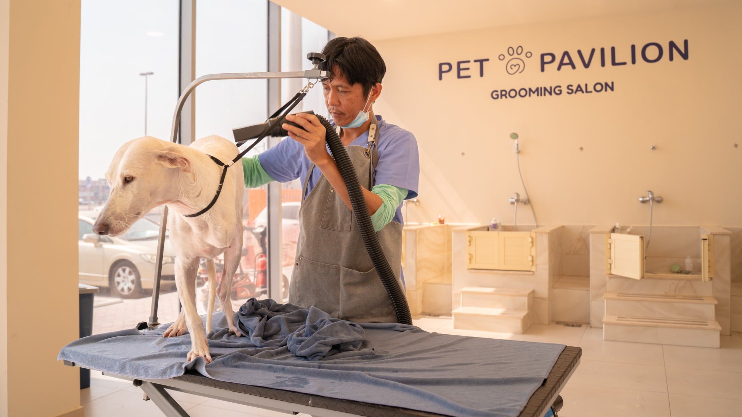 8 Frequently Asked Questions About Dog Grooming