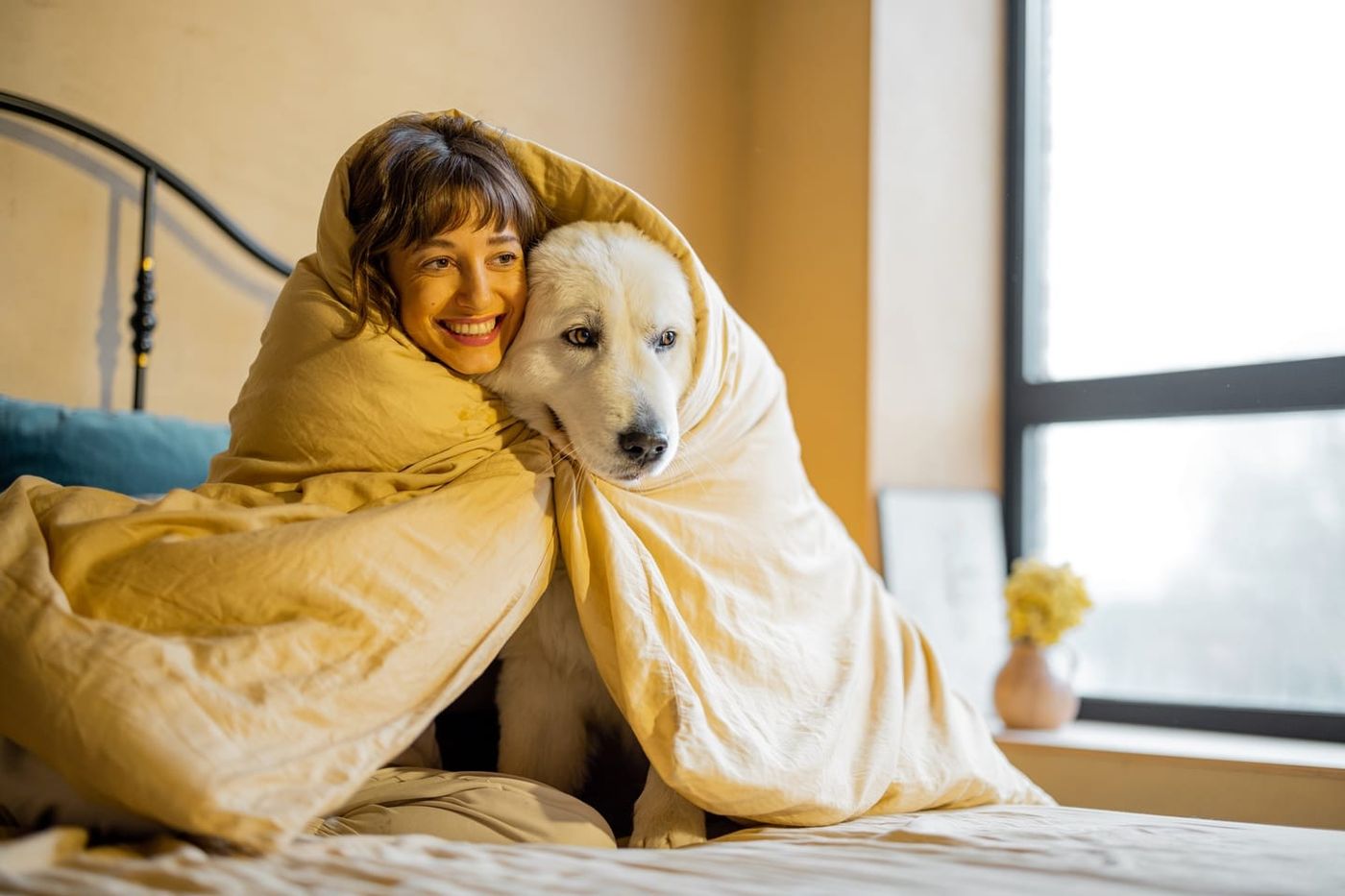 The Most Affectionate Dog Breeds