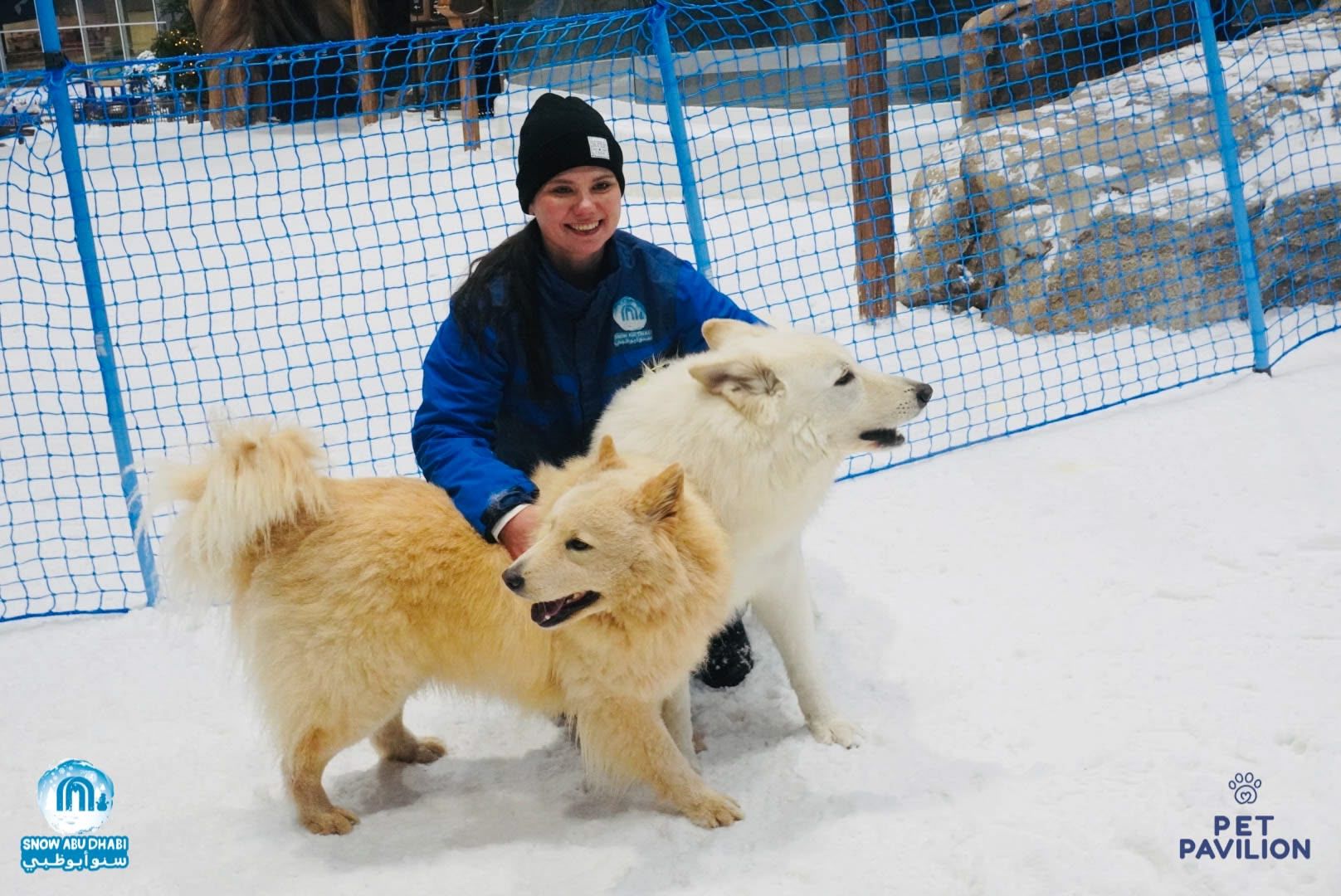 First-Ever Snow Experience for Dogs in Abu Dhabi! photo 16