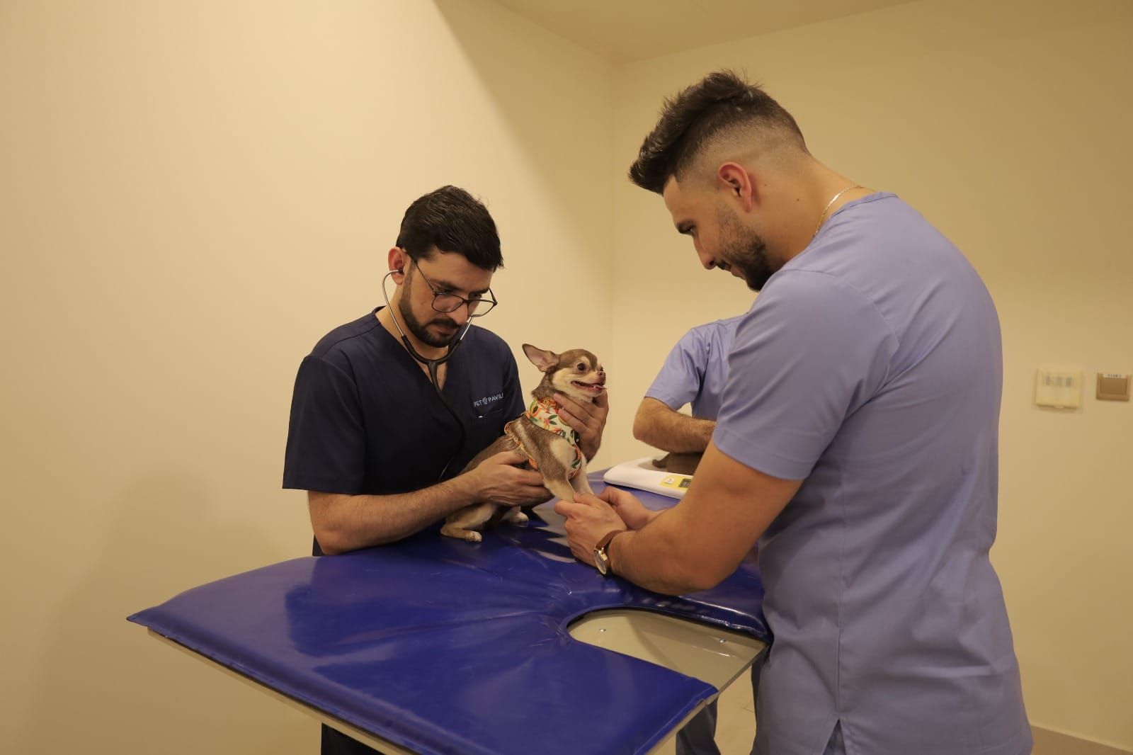 Deworming and Dental Care: 5 Must-Knows