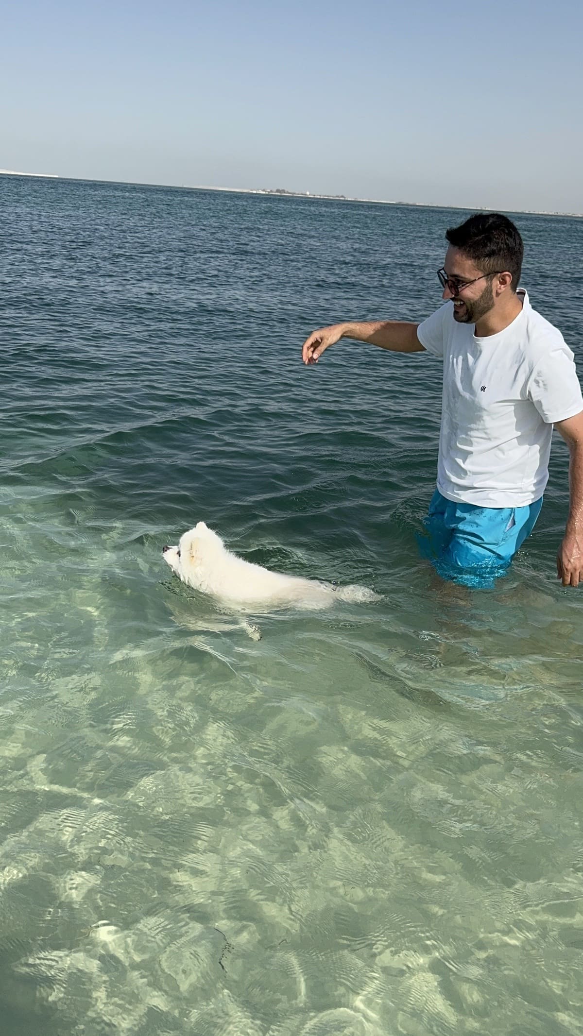 Paws & Waves photo 37