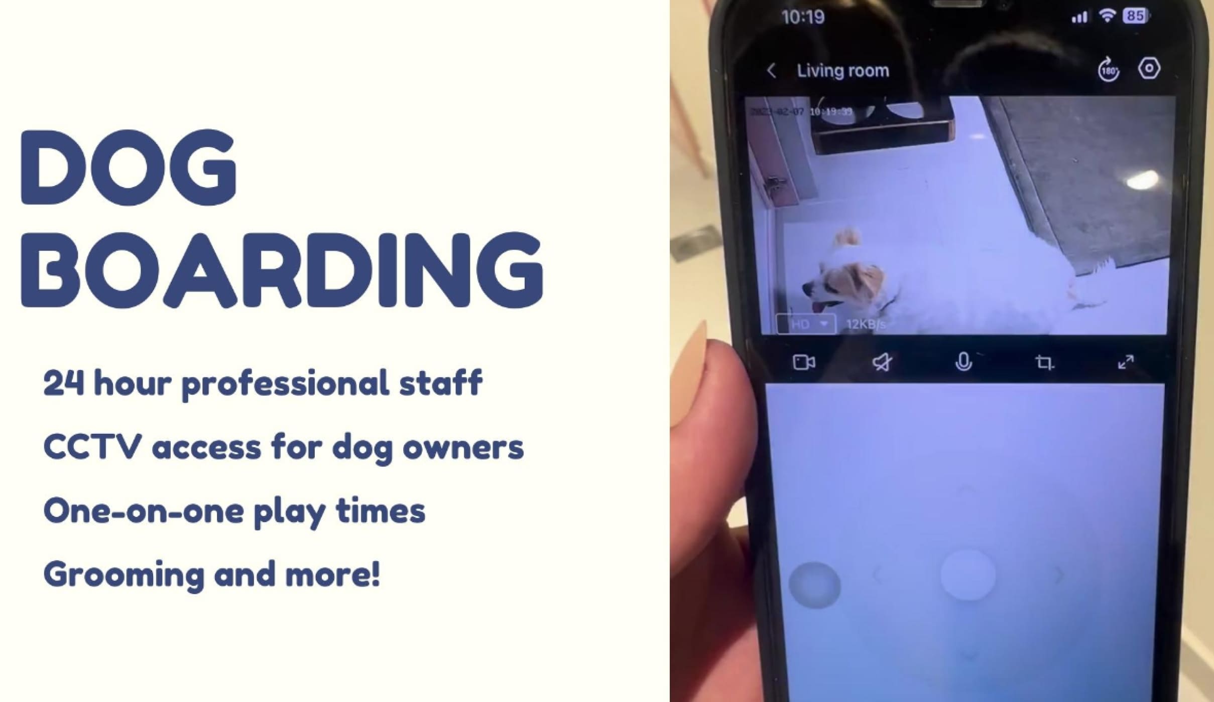 5 Reasons Why You Should Choose a Dog Boarding Service with Webcams