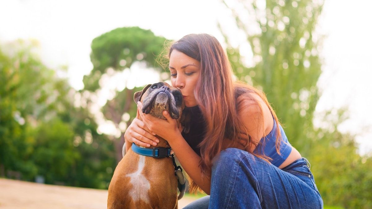 Paws & Hearts: Pet Adoption Festival