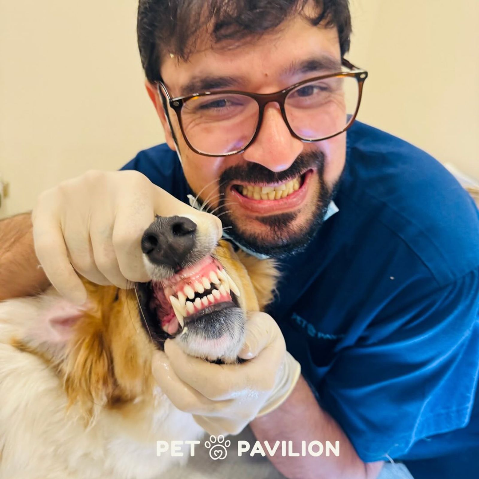 The Secret to Enjoying Playtime with Your Dogs: A Fresh Breath Makeover!