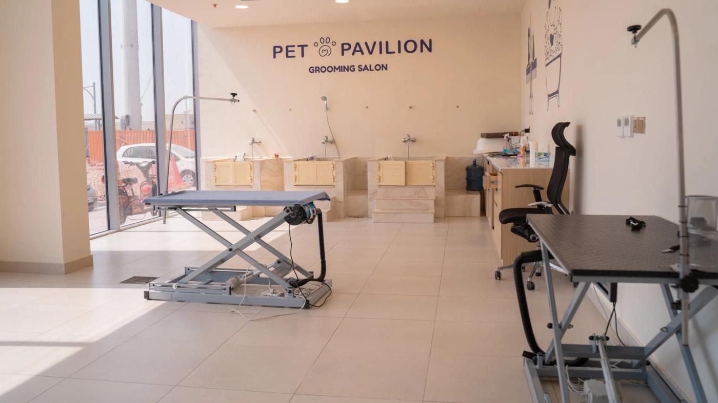 3 Surprising Facts About Dog Grooming