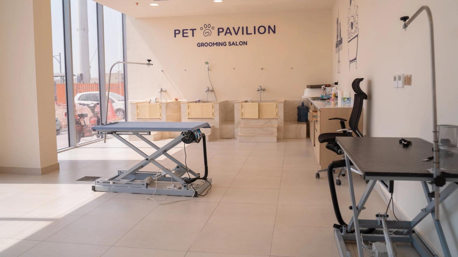 3 Surprising Facts About Dog Grooming