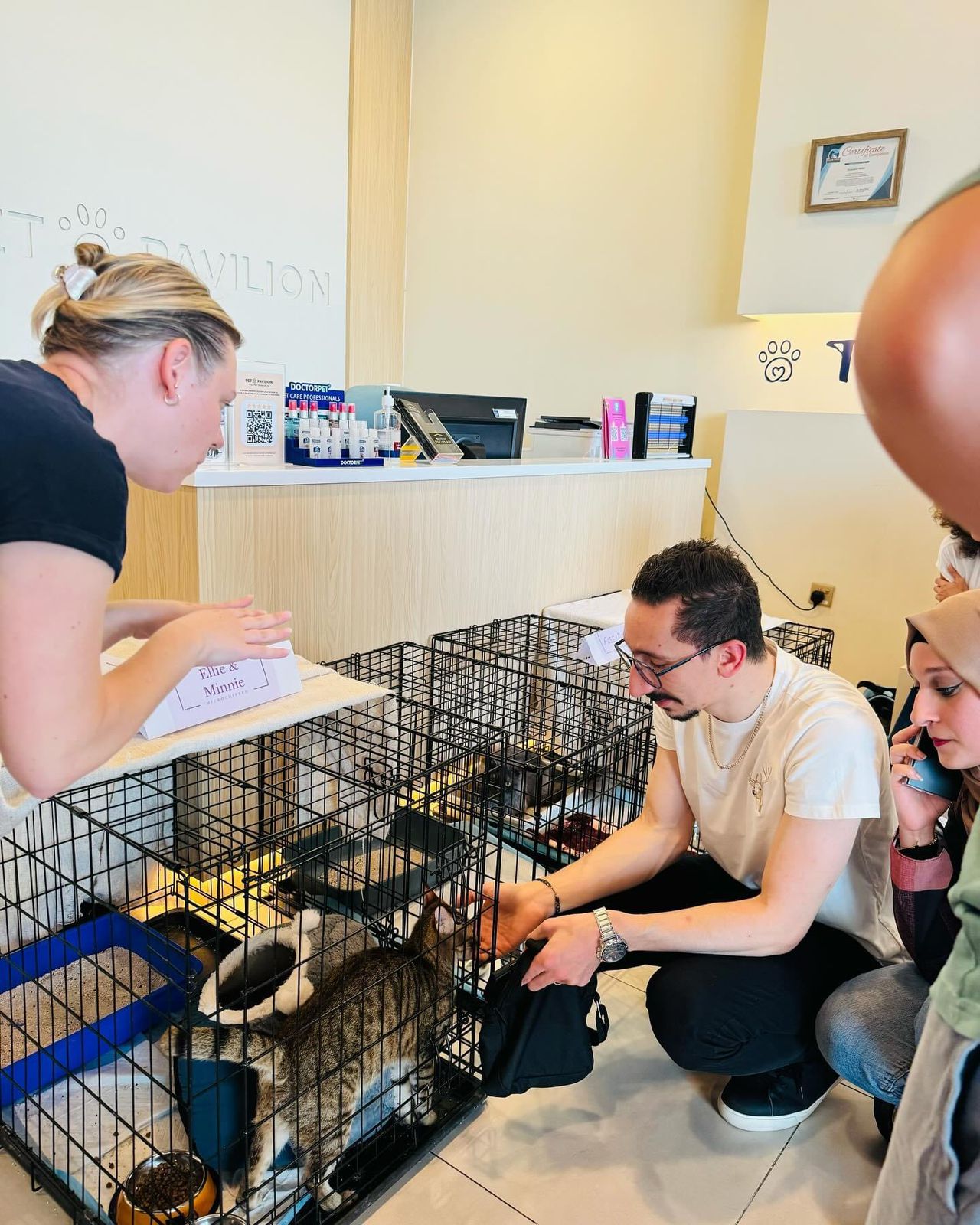 Cat Adoption Day in collaboration with Microchipped UAE photo 3