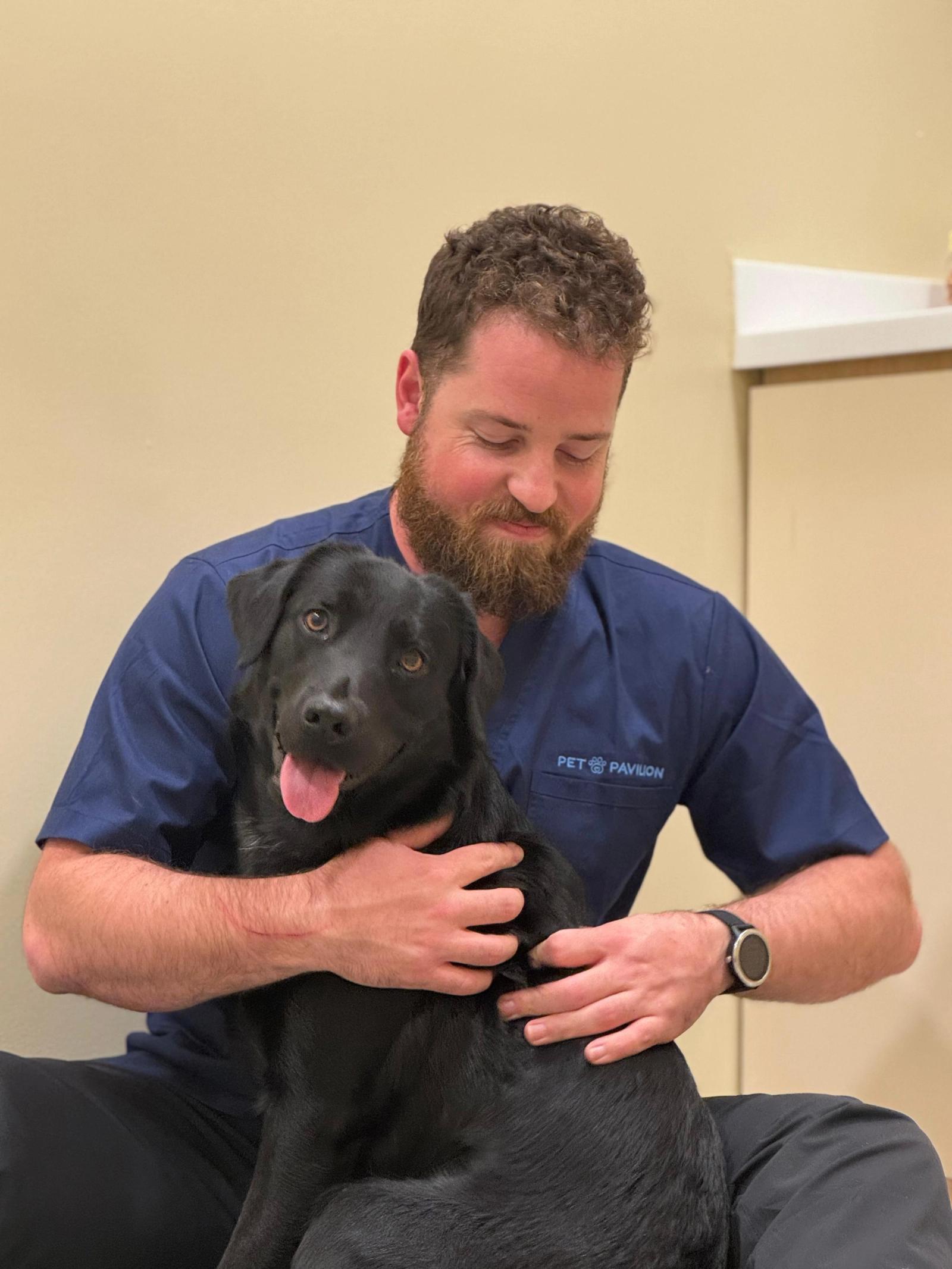 Signs Your Pet Needs Physiotherapy