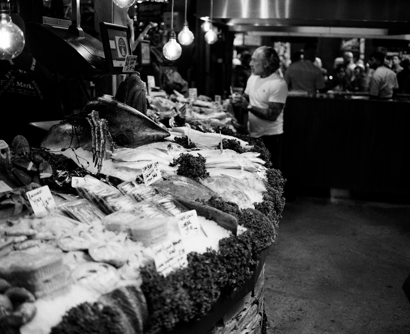 Fresh whole fish and fillets laid out on ice at an Australian fish counter, photo by Giovanni Simonicca on Unsplash
