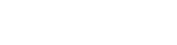 Anaconda logo
