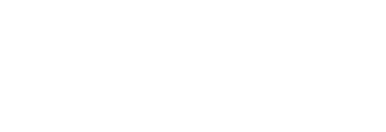 Paladian logo