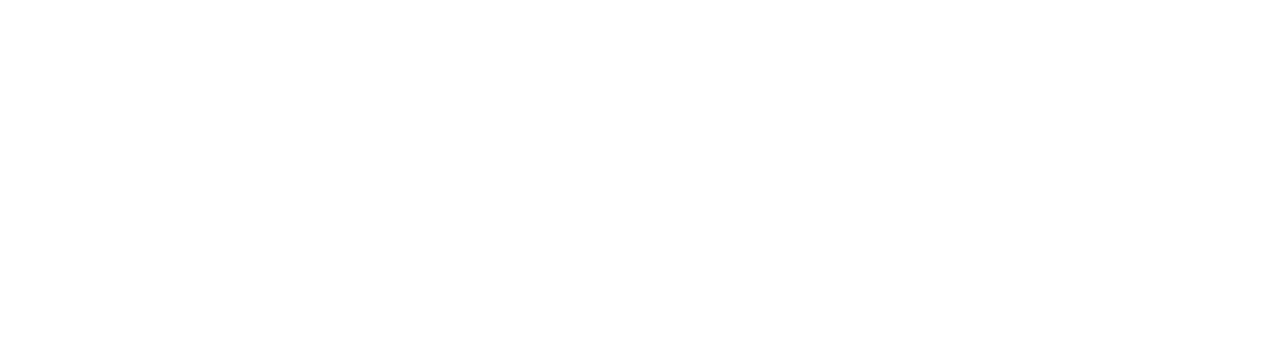 Sonatype logo