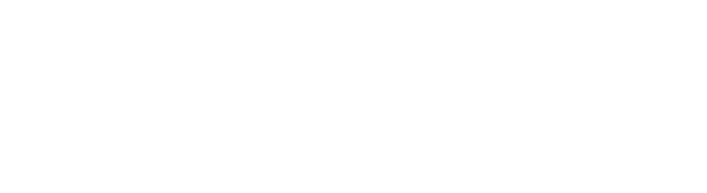 Boston Meridian Partners logo