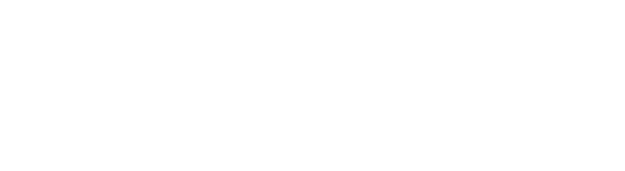 XBOW logo