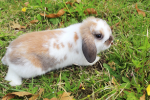 近藤 美颯 / Mihaya Kondo