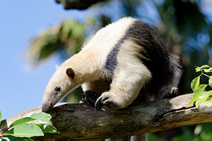 川上 尚浩 / Takahiro Kawakami