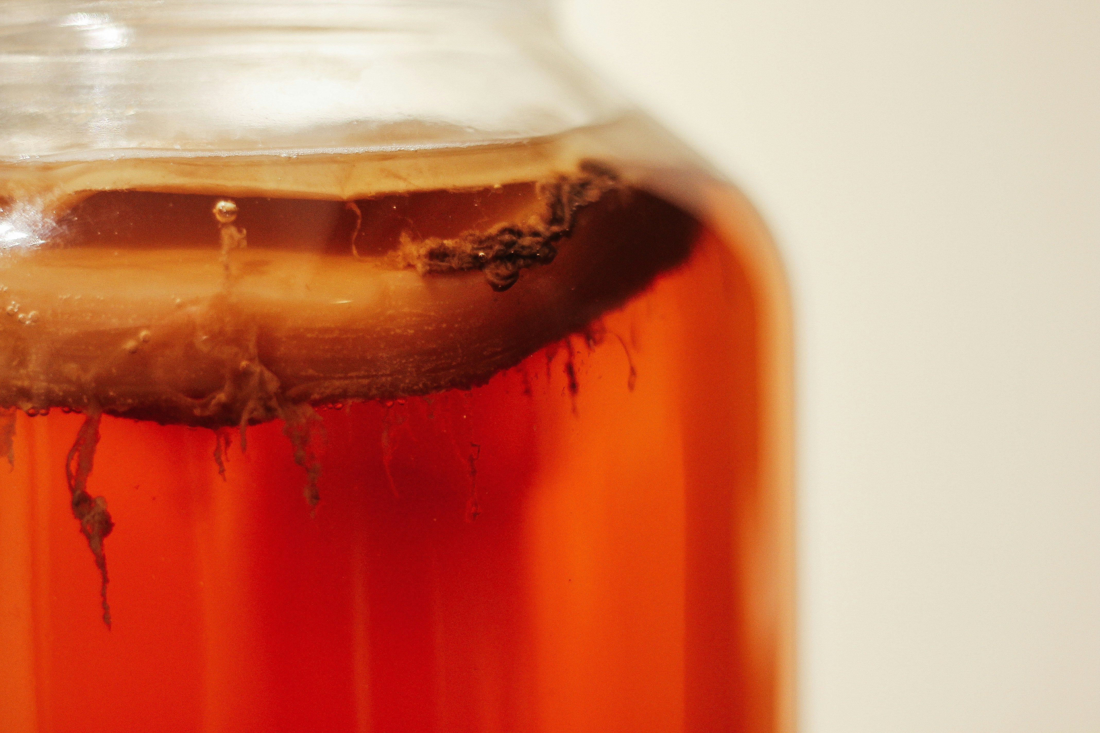 FERMENTED TEA [KOMBUCHA]