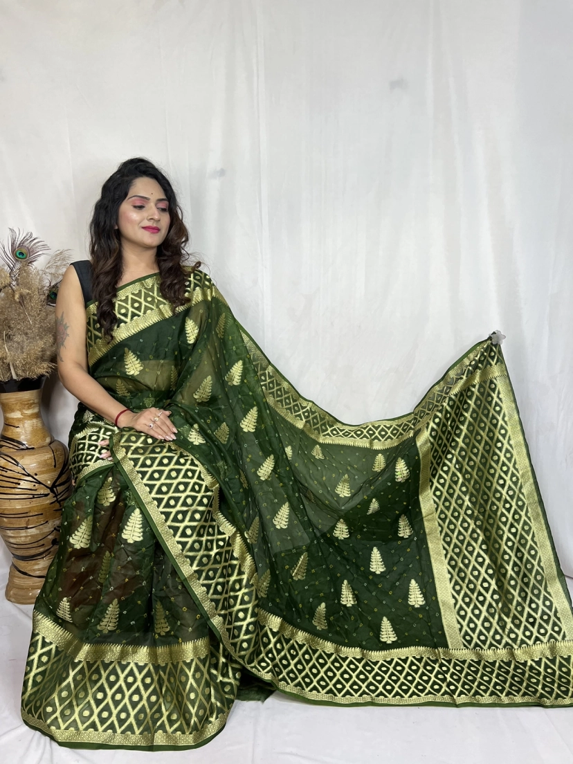 Organza Silk Banarasi Bandhani Saree