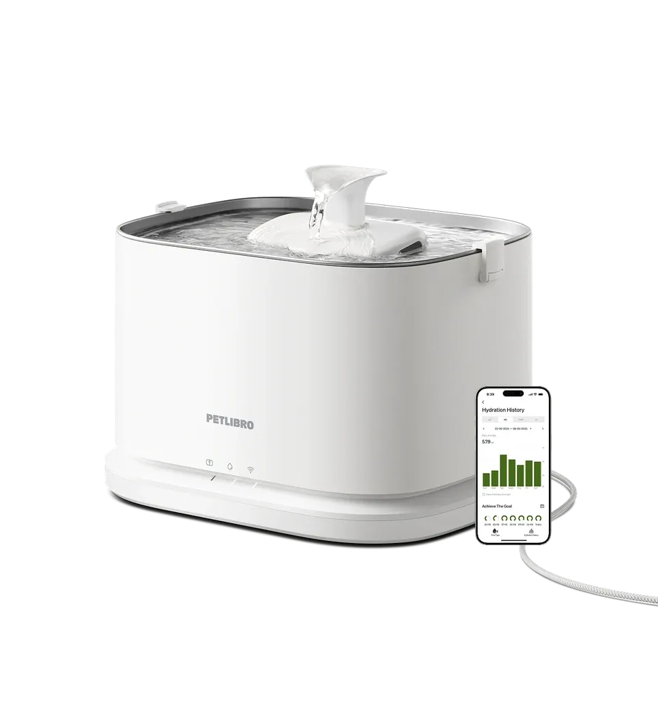 Manufacturer image of the white PETLIBRO Dockstream 2 PLWF106 plug-in fountain with power cable and app screen.