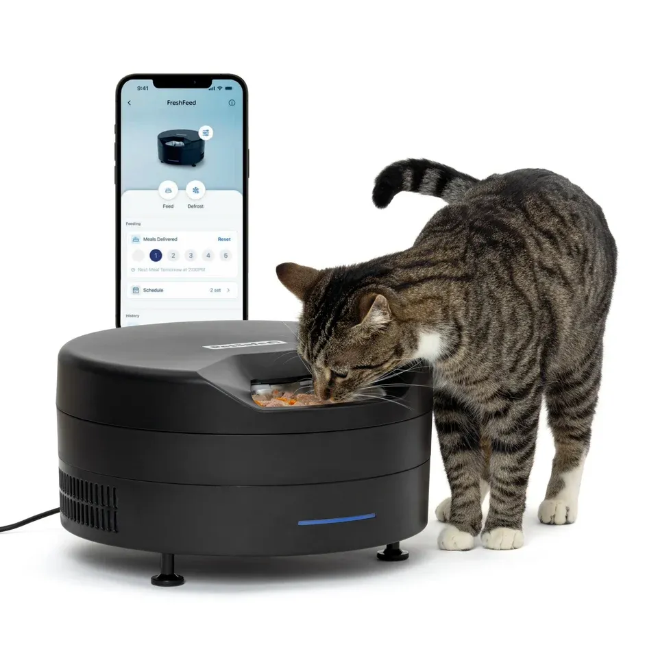 Manufacturer image of the black PetSafe FreshFeed PFD00-18290 feeder with a cat and illustrative phone app screen.