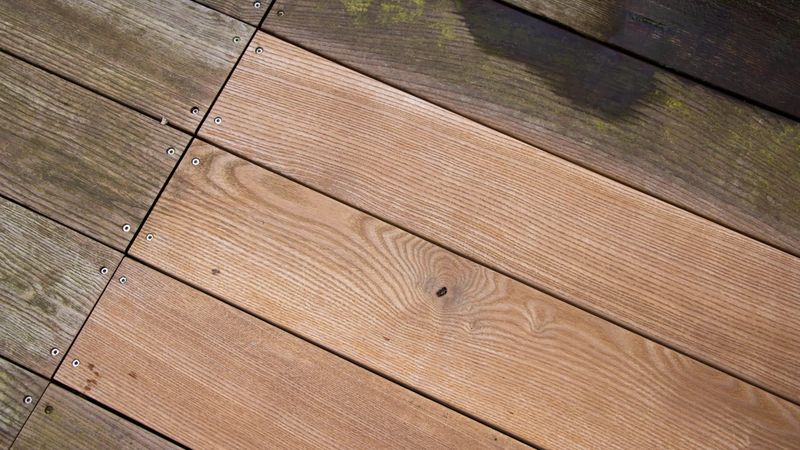 Houten vloer met schimmel.